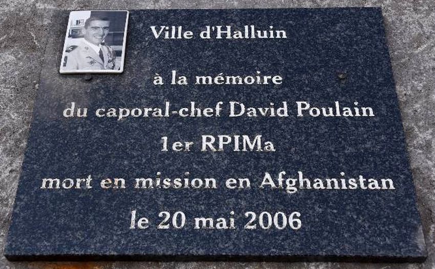 Poulain 20 Mai 2017 001