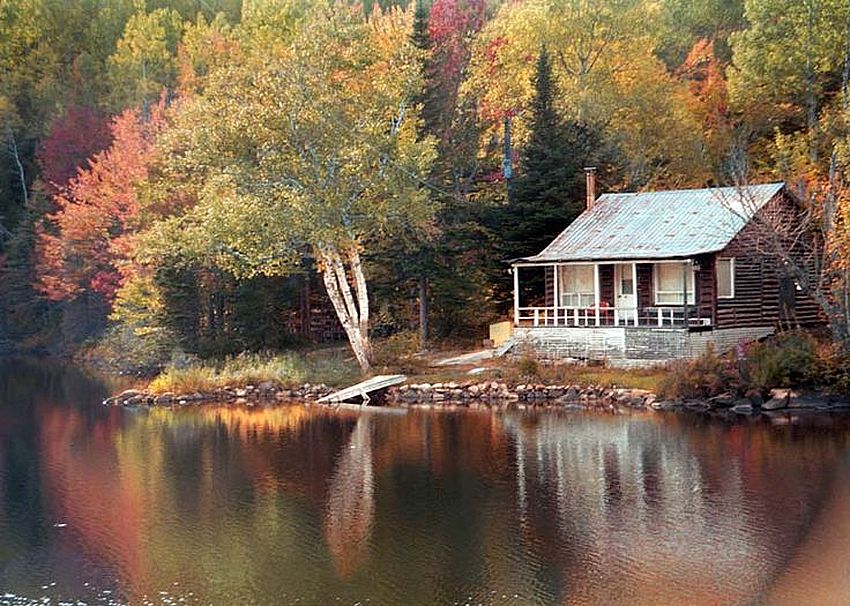 Line ma cabane image nature grizzly adams