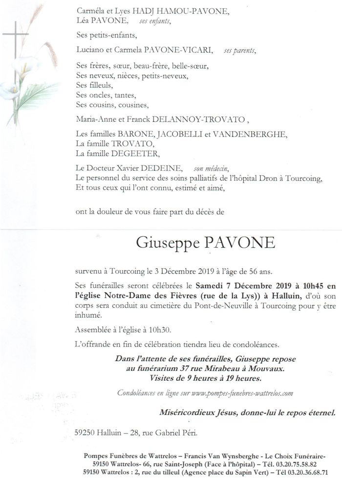 Dcs Pavone pavone