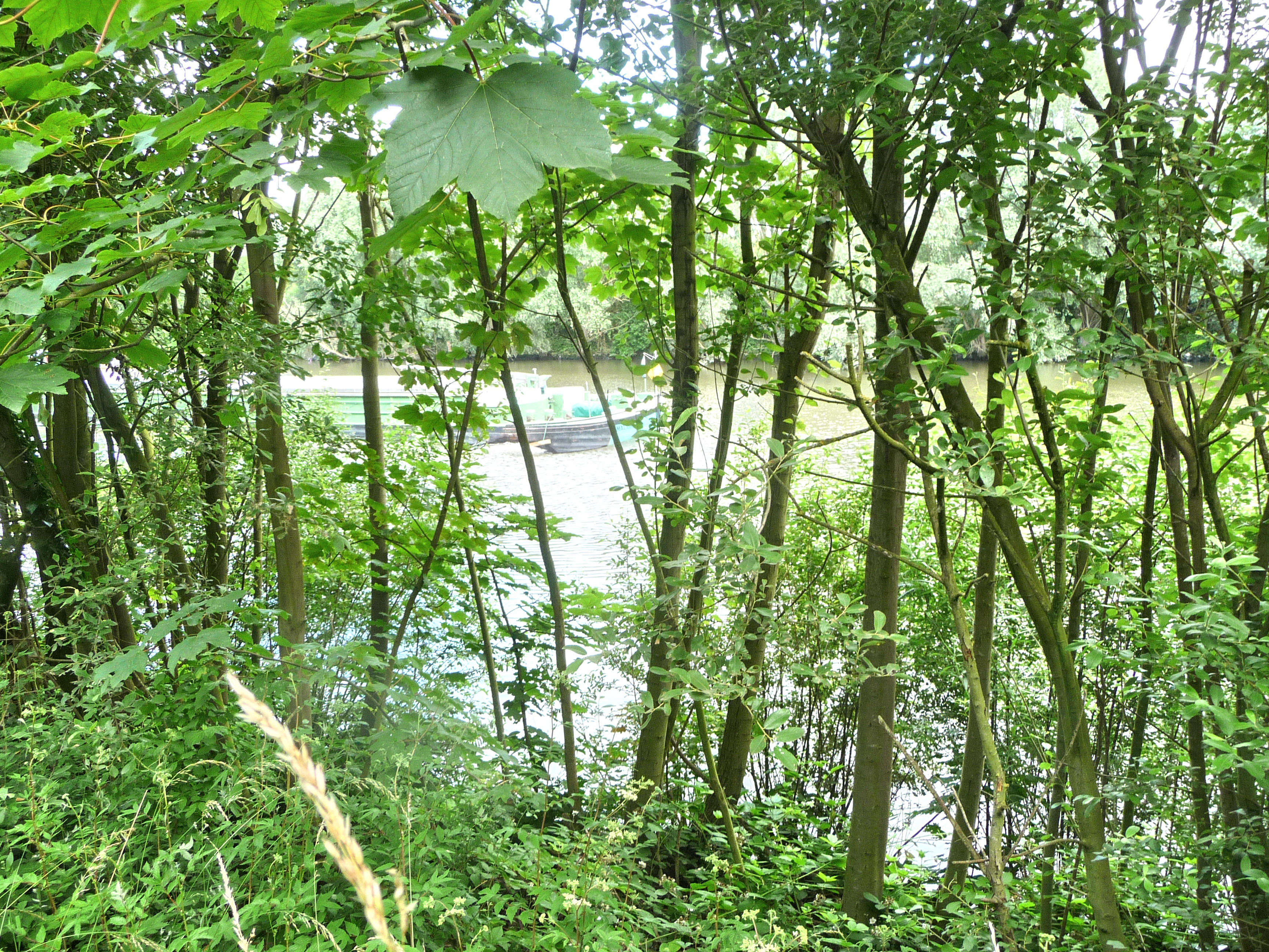 p1060048