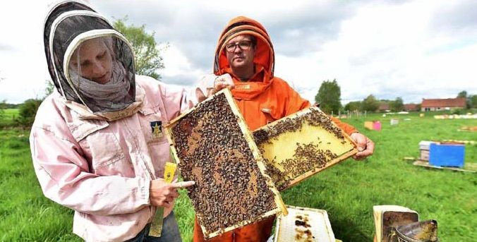 20180428 Hennion abeilles PHOTO NE revue de presse