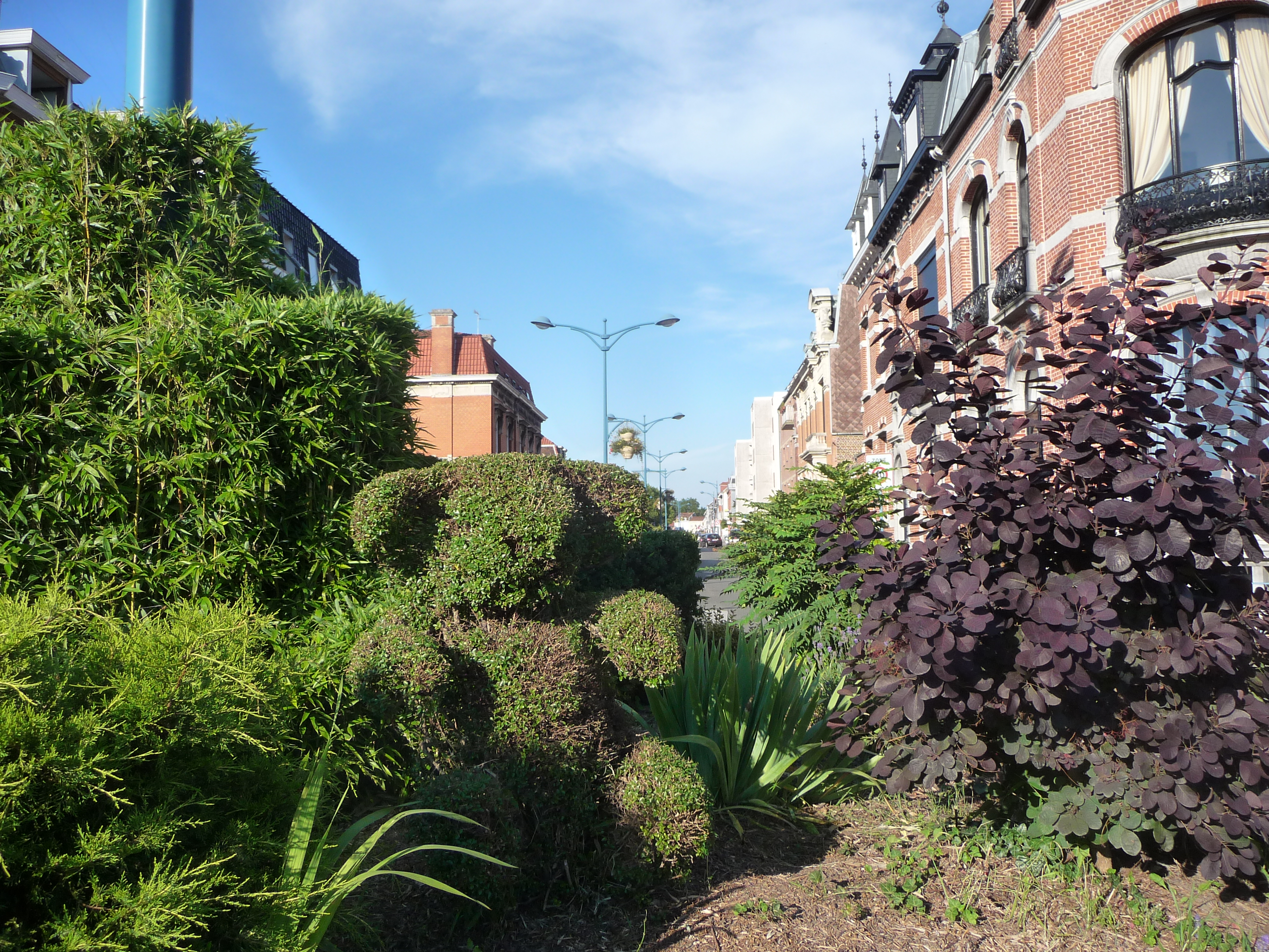 p1060741